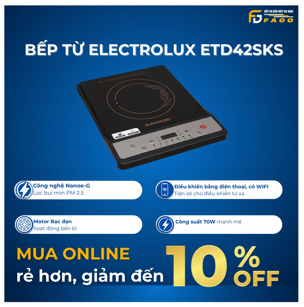 Bếp từ Electrolux ETD42SKS	